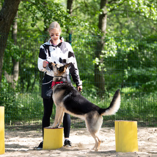 Training
